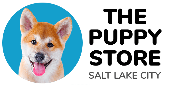 Eerlijk Bevestigen aan zeil Puppies for Sale Salt Lake City - Puppies For Adoption - Puppy Store